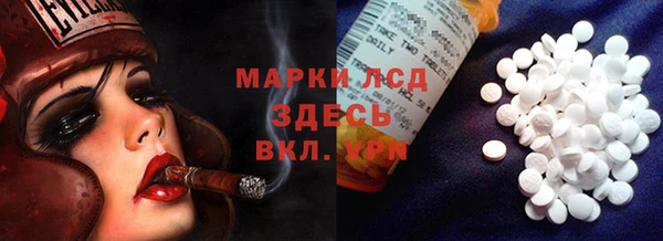 шишки Переславль-Залесский