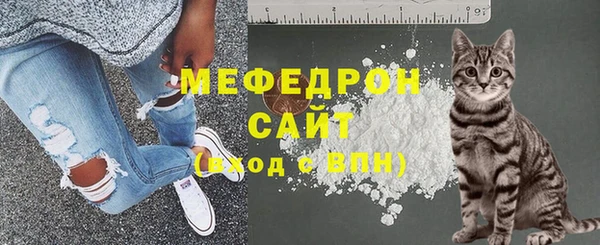 хмурый Аркадак