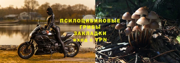 первитин Алексин