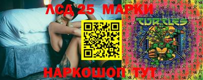 ПСИЛОЦИБИНОВЫЕ ГРИБЫ Кандалакша