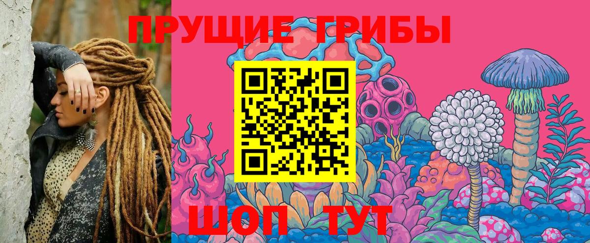 Галлюциногенные грибы Psilocybine cubensis  Вход с VPN  где купить наркотик  Куйбышев 