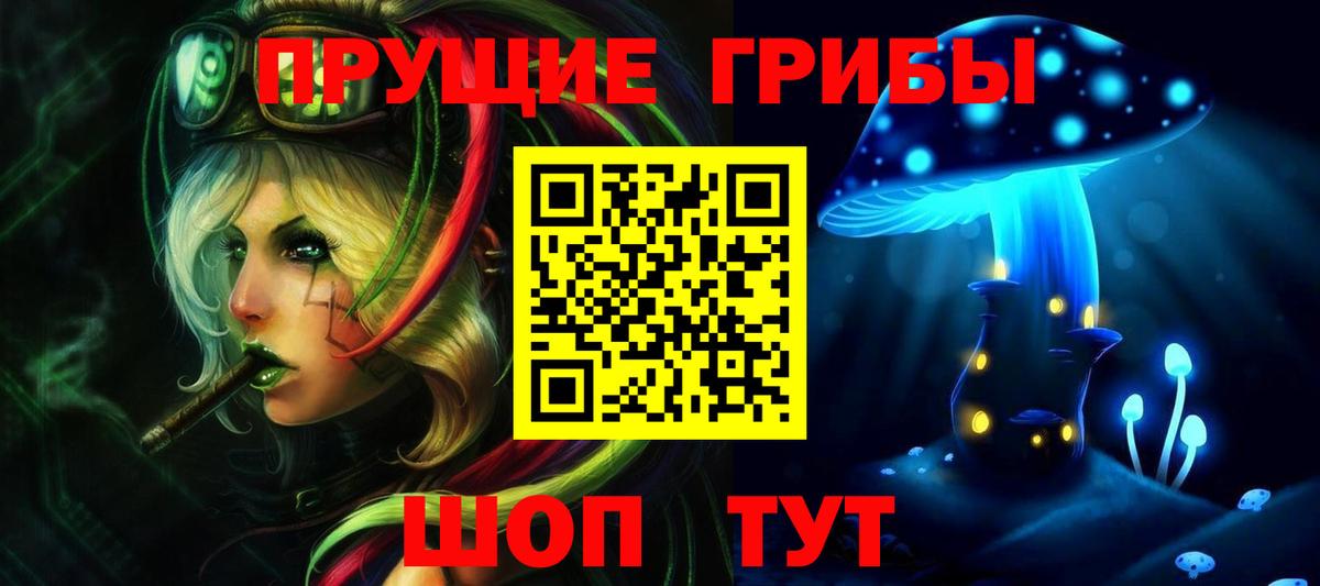 Псилоцибиновые грибы GOLDEN TEACHER Куйбышев